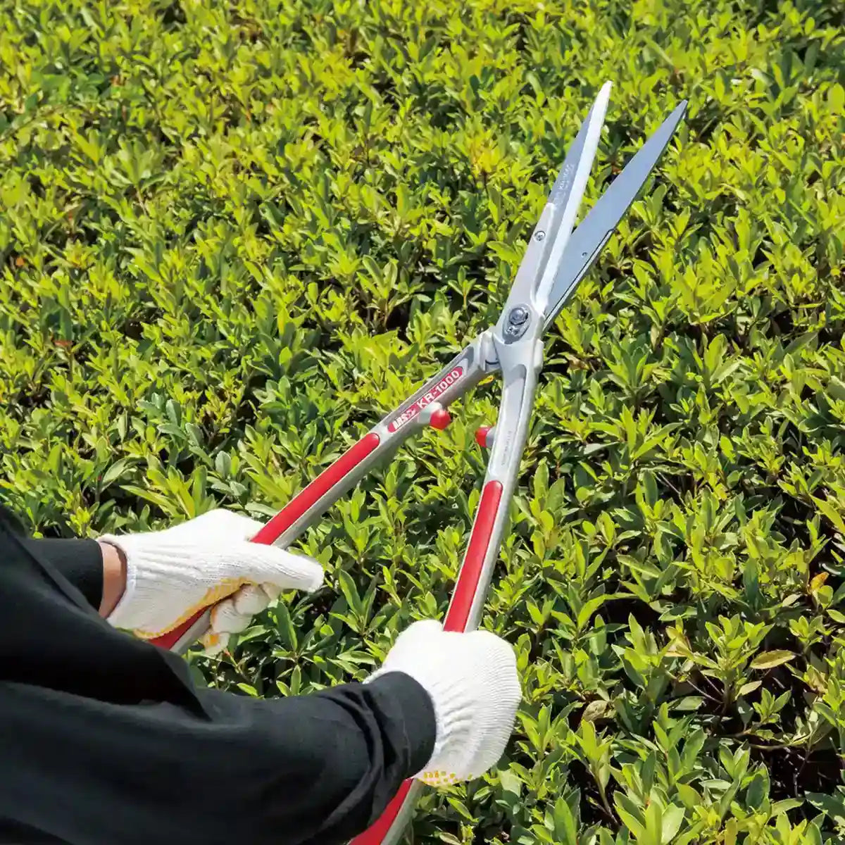 Ars Corporation KR-1000 Replaceable Blade Pruning Shears- Japan Figure Store - #1 Bring To You The Best Japanese Goods