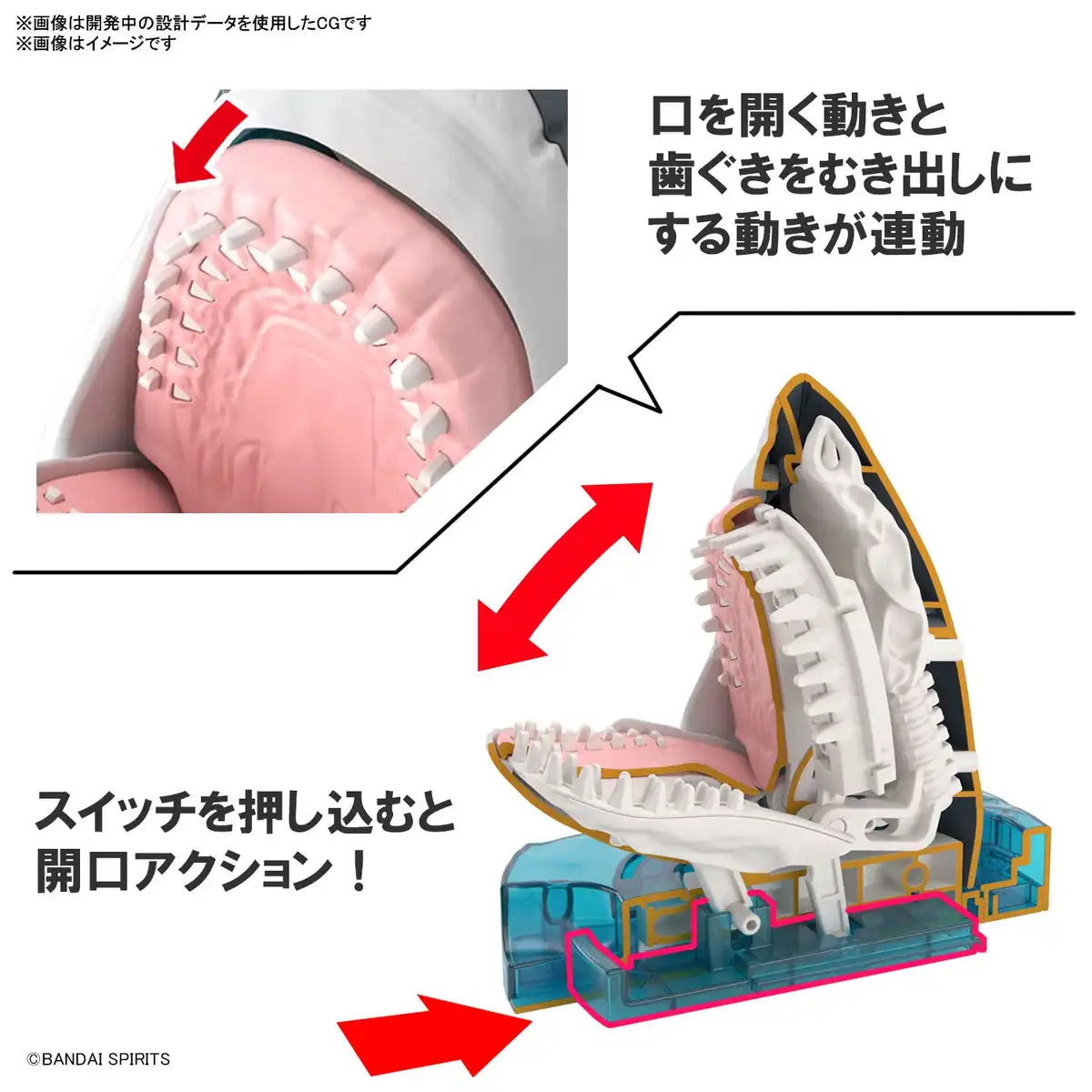 BANDAI Exploring Lab Nature Great White Shark Plastic Model- Japan Figure Store - #1 Bring To You The Best Japanese Goods