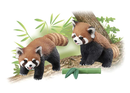 TAKARA TOMY As-35 Animal Adventure Red Panda Figure- Japan Figure Store - #1 Bring To You The Best Japanese Goods