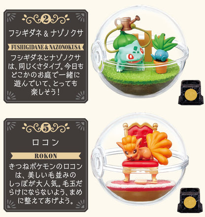 Pokémon Terrarium Collection 10 Pokémon 30th Anniversary Ver. 6 Types