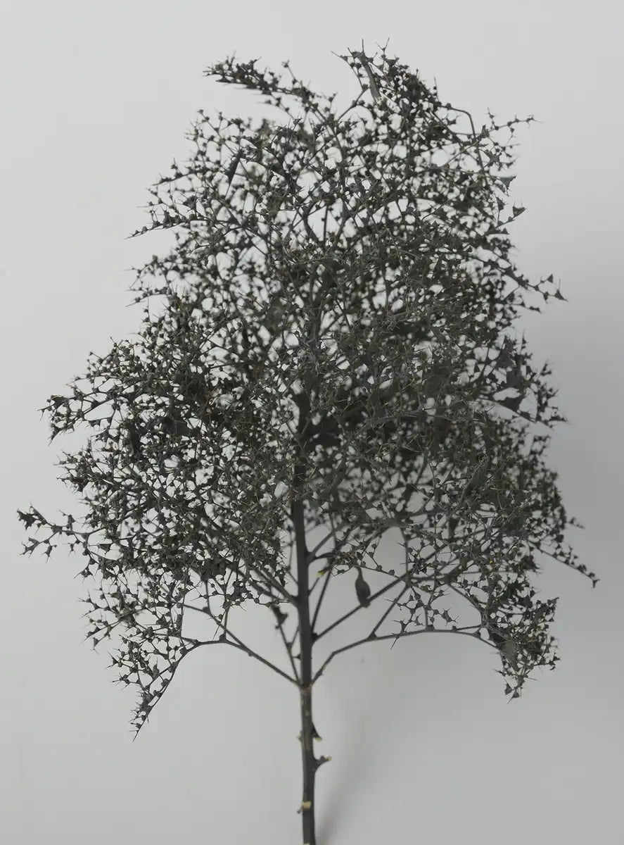 Kato Woodland Scenics Natural Black Trees 24-368 Model Railway Supplies- Japan Figure Store - #1 Bring To You The Best Japanese Goods