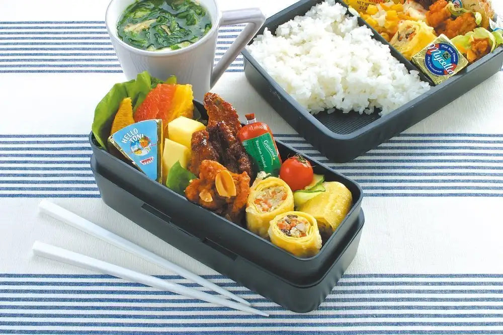 Skater Large 900ml 2-Tier Bento Lunch Box for Men Mizuno Design - Made in Japan- Japan Figure Store - #1 Bring To You The Best Japanese Goods