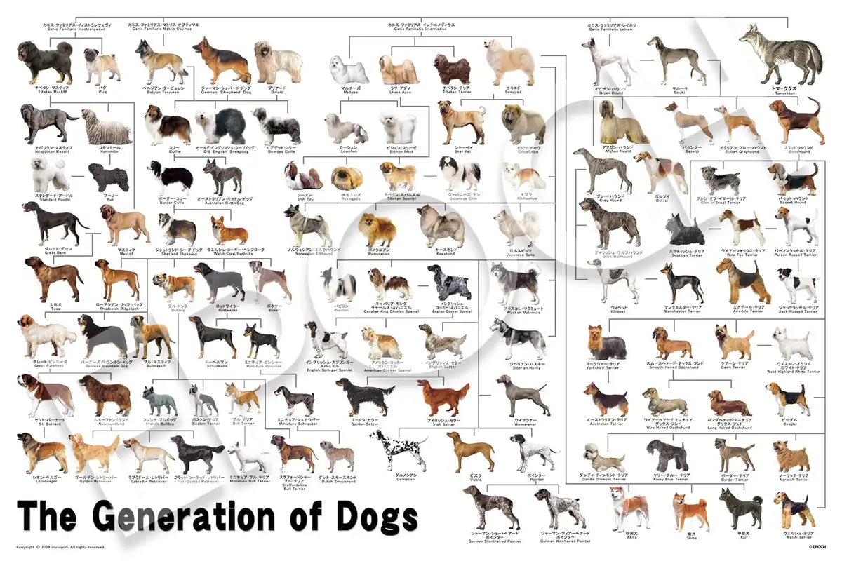 Epoch 1000-Piece Jigsaw Puzzle Dog Family Tree 50x75cm with Glue and Tools