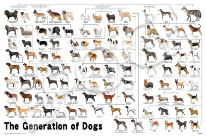 Epoch 1000-Piece Jigsaw Puzzle Dog Family Tree 50x75cm with Glue and Tools