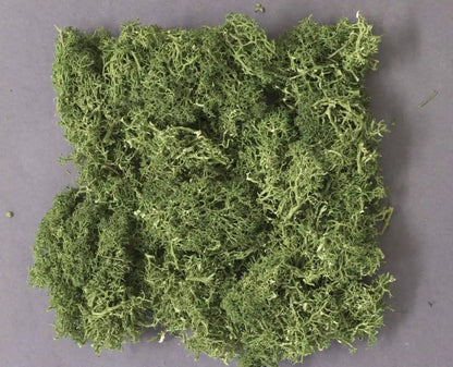Kato Medium Green Natural Plant Diorama Supplies for Railway Models 24-333- Japan Figure Store - #1 Bring To You The Best Japanese Goods