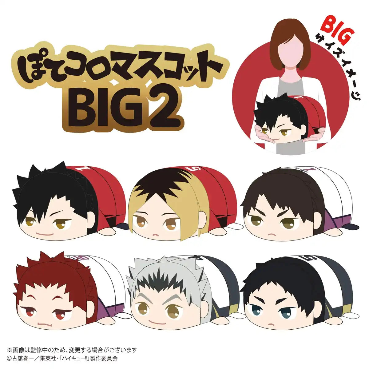 Max Limited Haikyu Potekoro Keiji Akaashi Big 2 Plush Japan Official Mascot- Japan Figure Store - #1 Bring To You The Best Japanese Goods