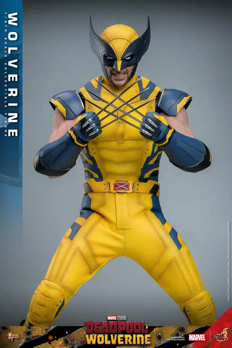 Hot Toys Movie Masterpiece Wolverine and Deadpool 1/6 Scale Figures