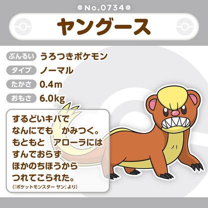 734 ぬいぐるみ Pokémon fit ヤングース