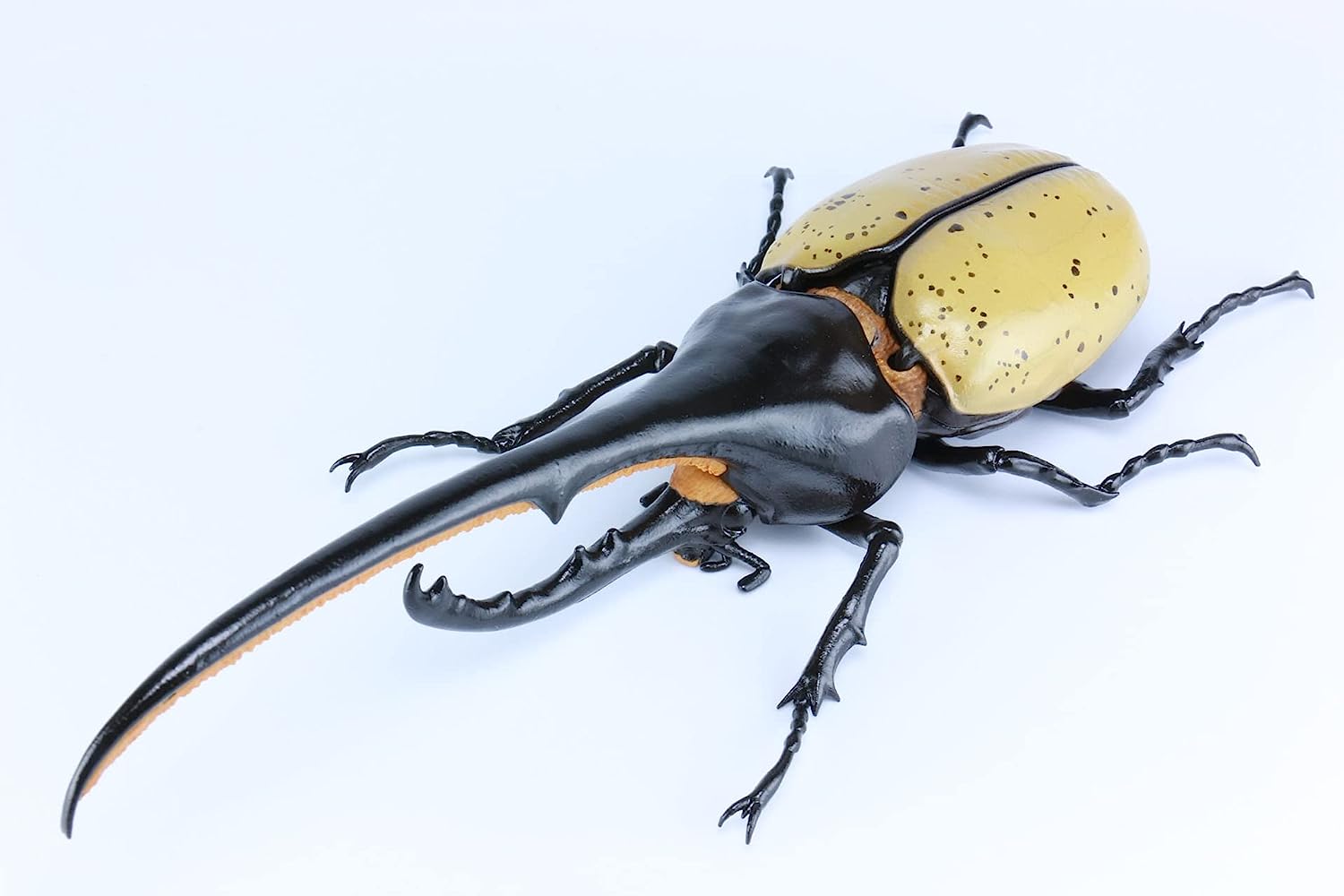 Fujimi Model Free Research Series No.26 Creatures Heracles Beetle Free Research-26- Japan Figure Store - #1 Bring To You The Best Japanese Goods