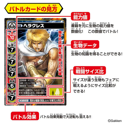 Bandai Strongest King Battle Card Game: King of Time and Space Encyclopedia Edition- Japan Figure Store - #1 Bring To You The Best Japanese Goods