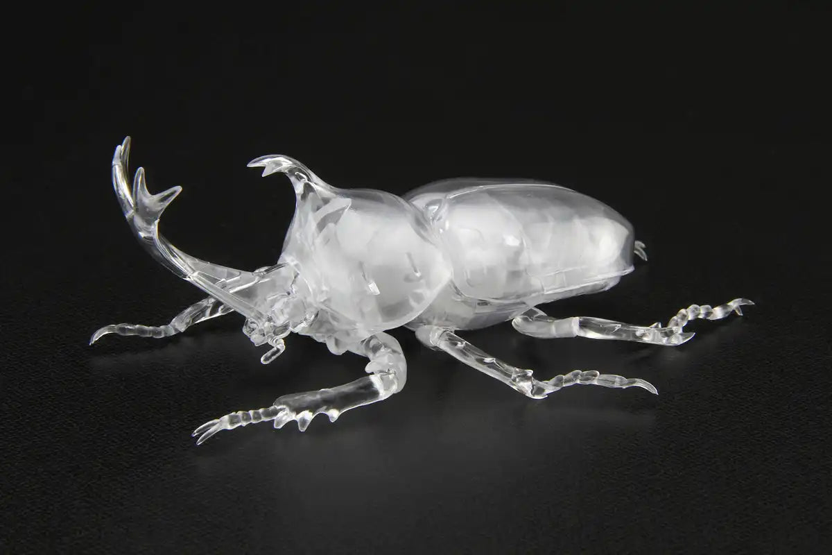 Fujimi Model Free Study Series No.21 Ex-1 Living Things Beetle (Clear) Free Study-21 Ex-1- Japan Figure Store - #1 Bring To You The Best Japanese Goods