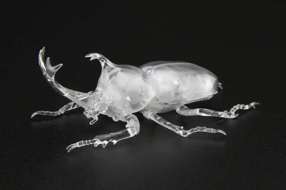Fujimi Model Free Study Series No.21 Ex-1 Living Things Beetle (Clear) Free Study-21 Ex-1- Japan Figure Store - #1 Bring To You The Best Japanese Goods