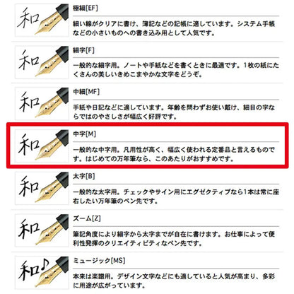 SAILOR Profit 21 Fountain Pen 1911 Black M 11-2021-420- Japan Figure Store - #1 Bring To You The Best Japanese Goods