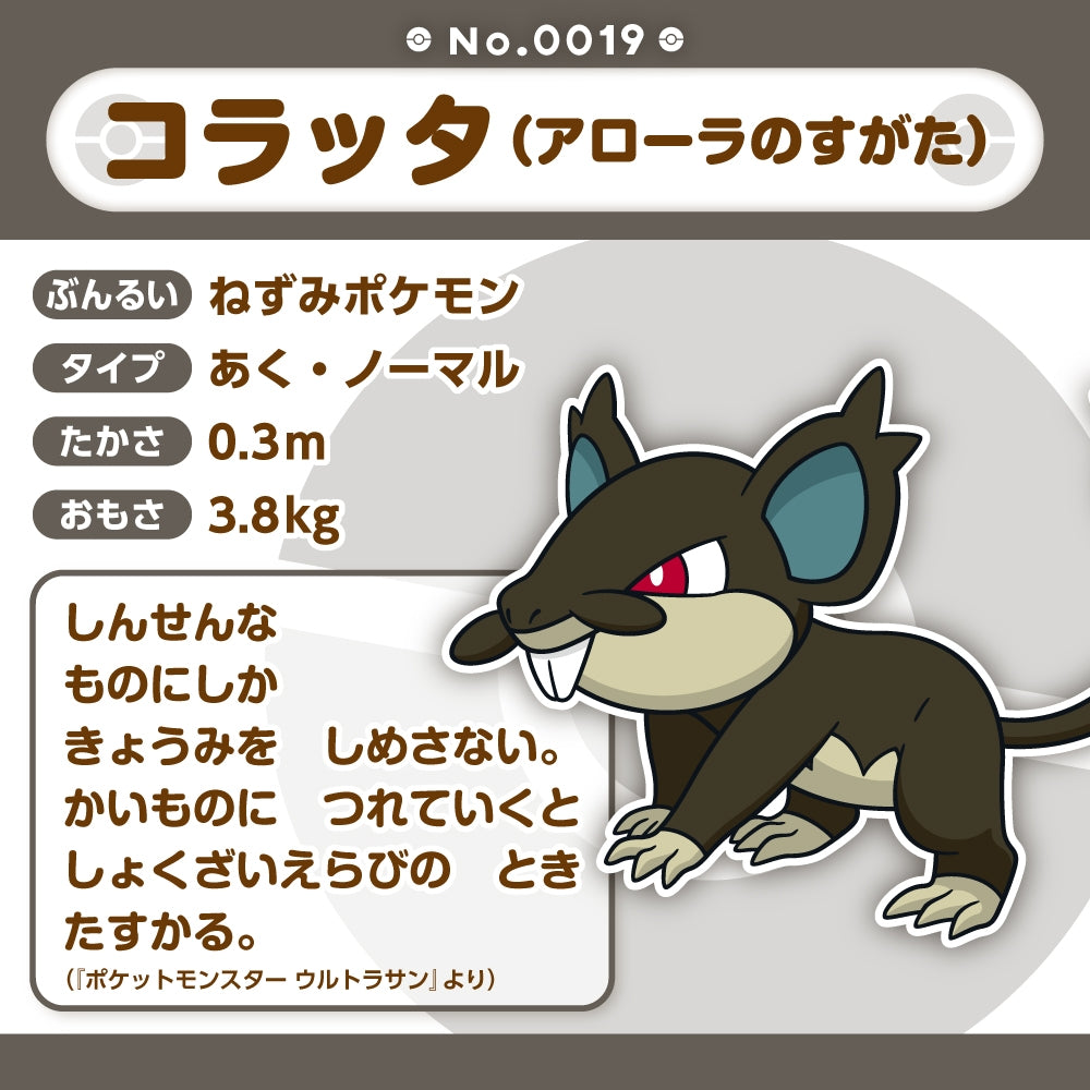 A019 ぬいぐるみ Pokémon fit コラッタ(アローラのすがた)