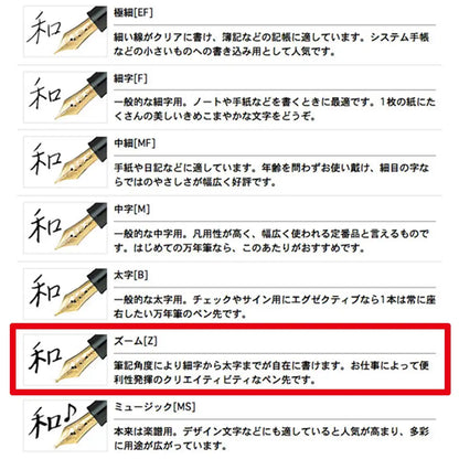 SAILOR Profit Standard 1911 S Fountain Pen Black Z 11-1219-720- Japan Figure Store - #1 Bring To You The Best Japanese Goods