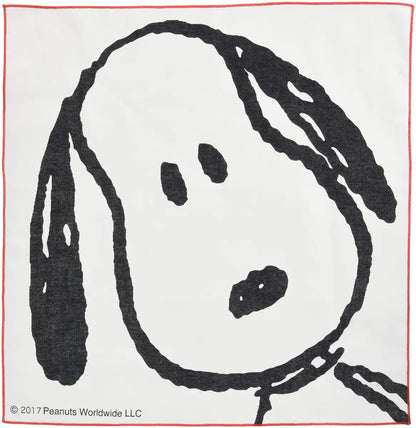 Skater Snoopy Face Lunch Box with 43x43cm Cloth Made in Japan- Japan Figure Store - #1 Bring To You The Best Japanese Goods