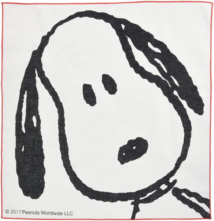 Skater Snoopy Face Lunch Box with 43x43cm Cloth Made in Japan- Japan Figure Store - #1 Bring To You The Best Japanese Goods