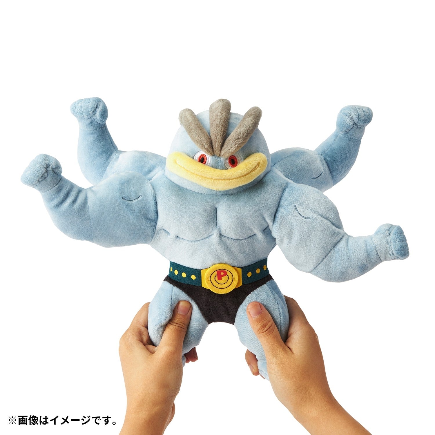 ムキムキ! ポージングぬいぐるみ とっくんちゅう カイリキー