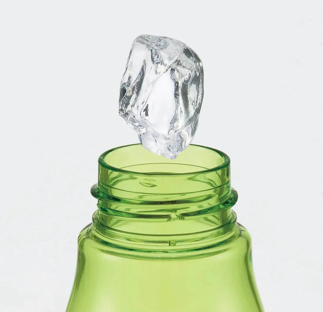 Skater 500ml Direct Drinking Water Bottle with Tea Strainer Avocado Color- Japan Figure Store - #1 Bring To You The Best Japanese Goods