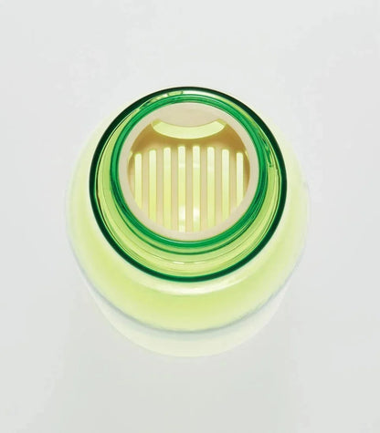 Skater 500ml Direct Drinking Water Bottle with Tea Strainer Avocado Color- Japan Figure Store - #1 Bring To You The Best Japanese Goods