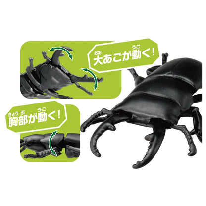 Takara Tomy Ania AS-41 Dorcus Titanus Figure Toy Collectible- Japan Figure Store - #1 Bring To You The Best Japanese Goods