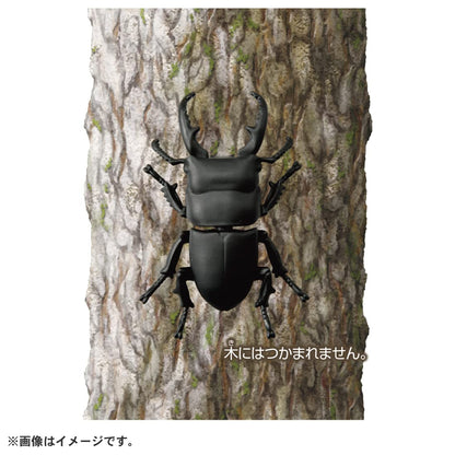 Takara Tomy Ania AS-41 Dorcus Titanus Figure Toy Collectible- Japan Figure Store - #1 Bring To You The Best Japanese Goods