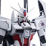 Bandai MG 1/100 Impulse Gundam Blanche Model Kit Hobby Online Exclusive
