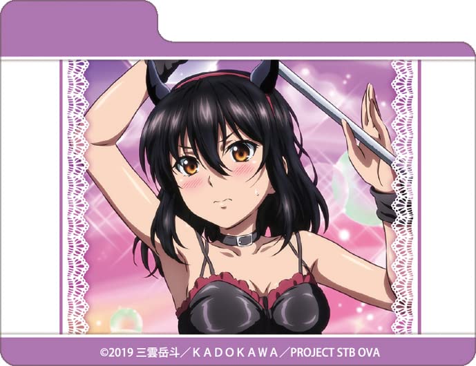 Étui de jeu de personnages Max Neo Strike Blood Yukina Himeragi Sexy Ver. Brocoli