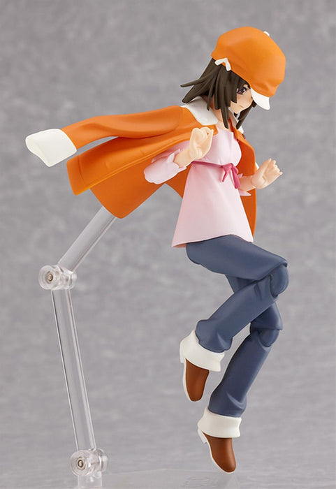 Figurine d'action de collection Figma Kamonogatari Sengoku Nadeshiko de Max Factory