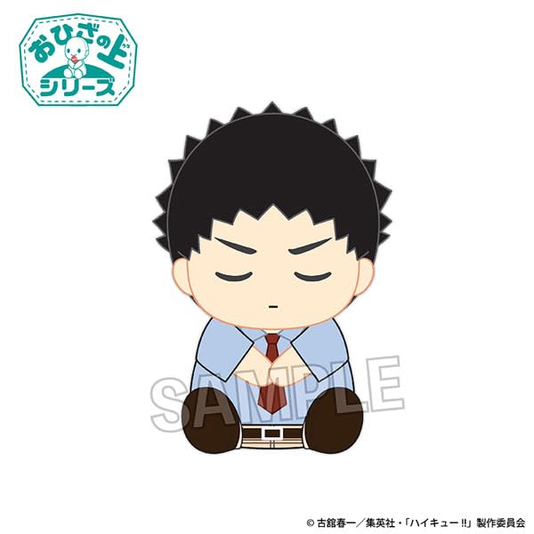 Proof Haikyu On The Lap Series Plush Iwaizumi Hajime Ohirune Ver- Japan Figure Store - #1 Bring To You The Best Japanese Goods