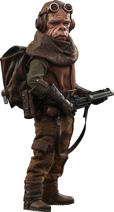 Hot Toys Star Wars Mandalorian Kuiil 1/6 Scale Brown Figure
