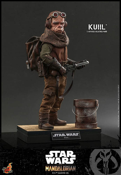 Hot Toys Star Wars Mandalorian Kuiil 1/6 Scale Brown Figure