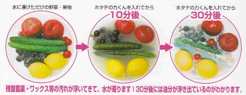 Japan Kampo Research Institute Meeresgemüse- und Fruchtwaschmittel 90g Jakobsmuschelpulver