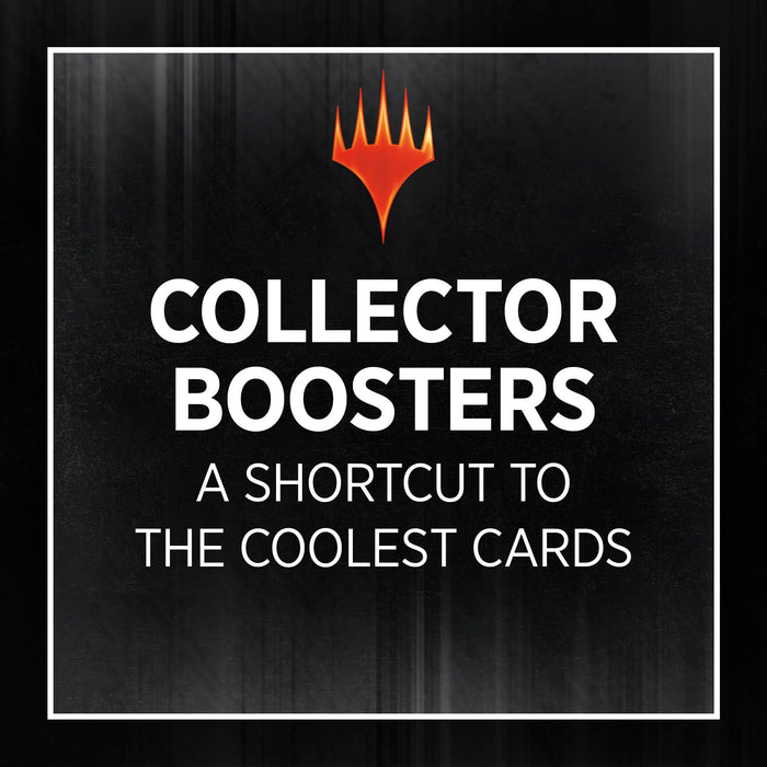 Wizards Of The Coast Magic The Gathering Karlov Mansion Collector Booster 12 Packs - English version