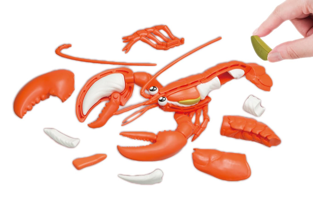 Megahouse Lobster Dissection Puzzle for Ages 6+ - Buy A Whole Lobster!- Japan Figure Store - #1 Bring To You The Best Japanese Goods
