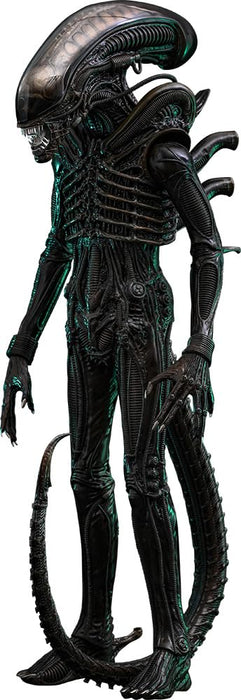 Hot Toys Movie Masterpiece Alien Big Chap Version 2.0 1/6 Scale Figure