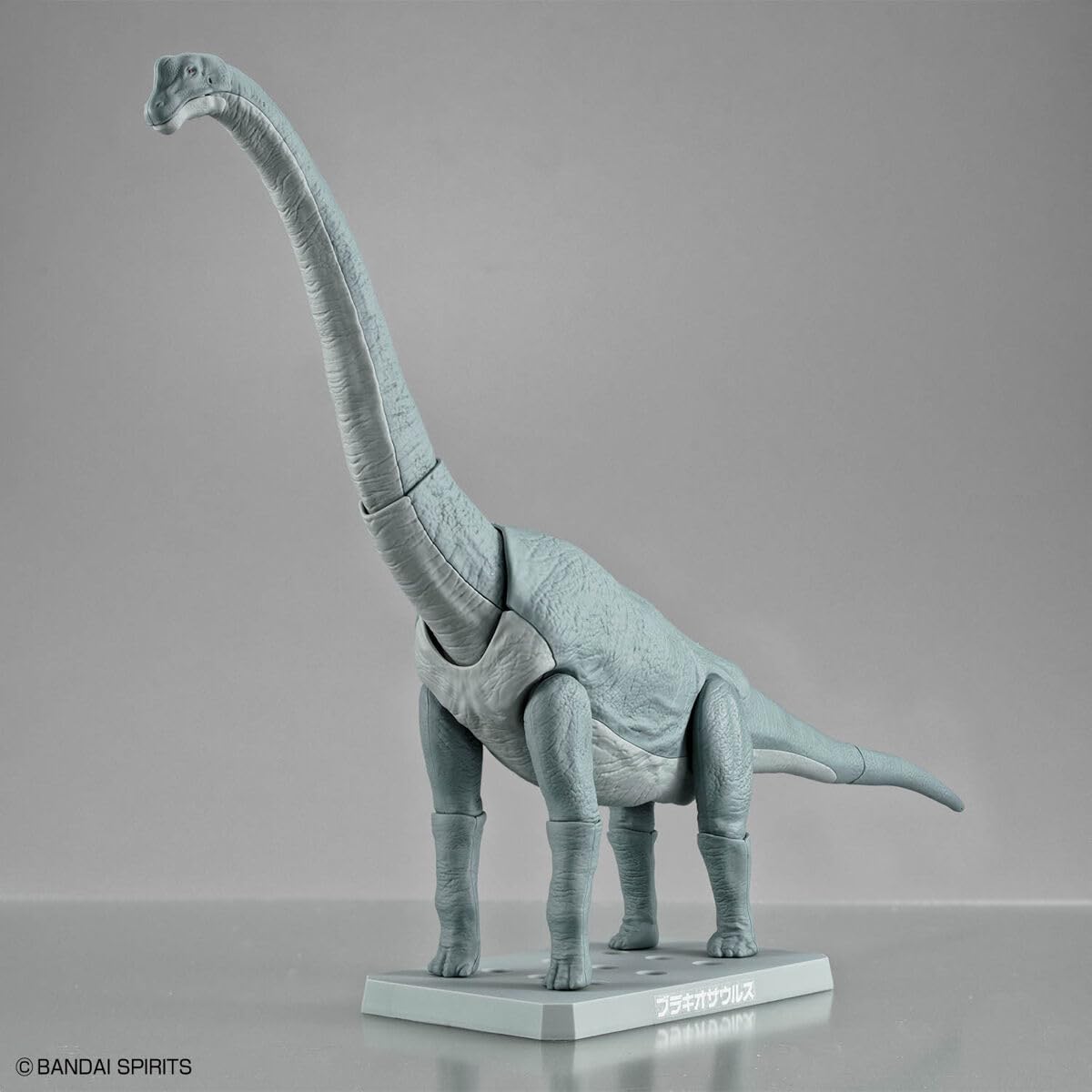 Bandai Plannosaurus Brachiosaurus Dinosaur Toy for Kids Educational Figure- Japan Figure Store - #1 Bring To You The Best Japanese Goods