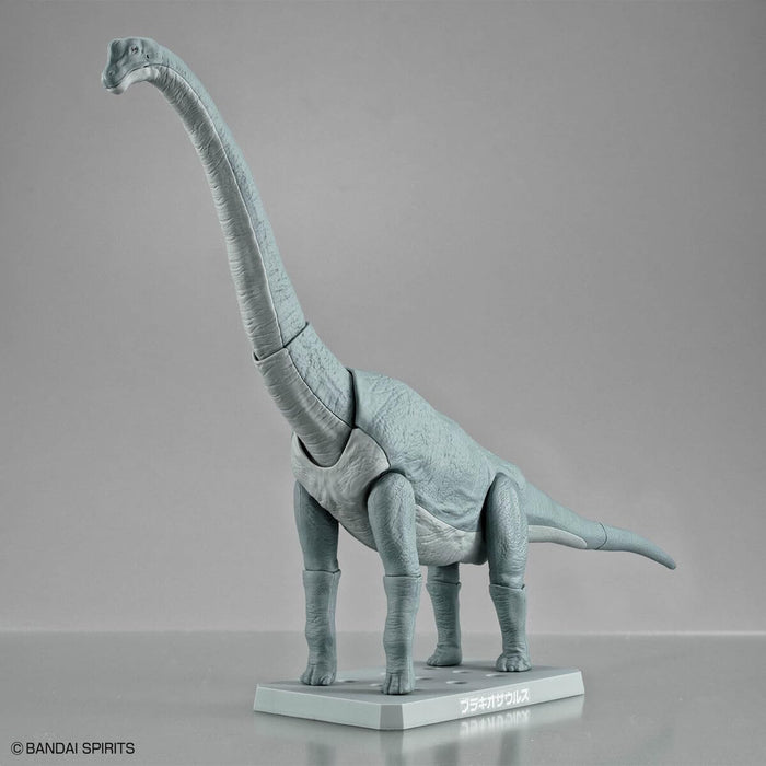 Bandai Plannosaurus Brachiosaurus Dinosaur Toy for Kids Educational Figure