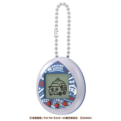Pui Pui Molcatchi Grey Driving School Model