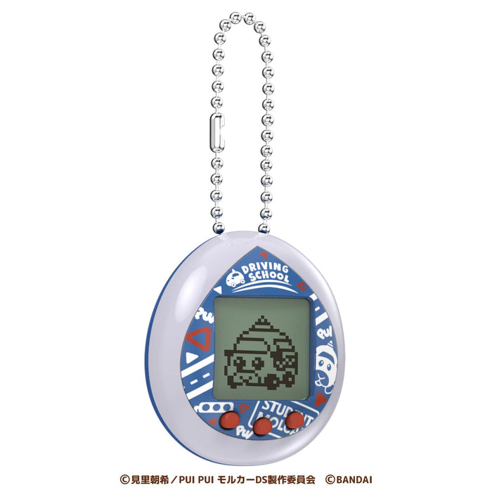 Pui Pui Molcatchi Grey Driving School Model