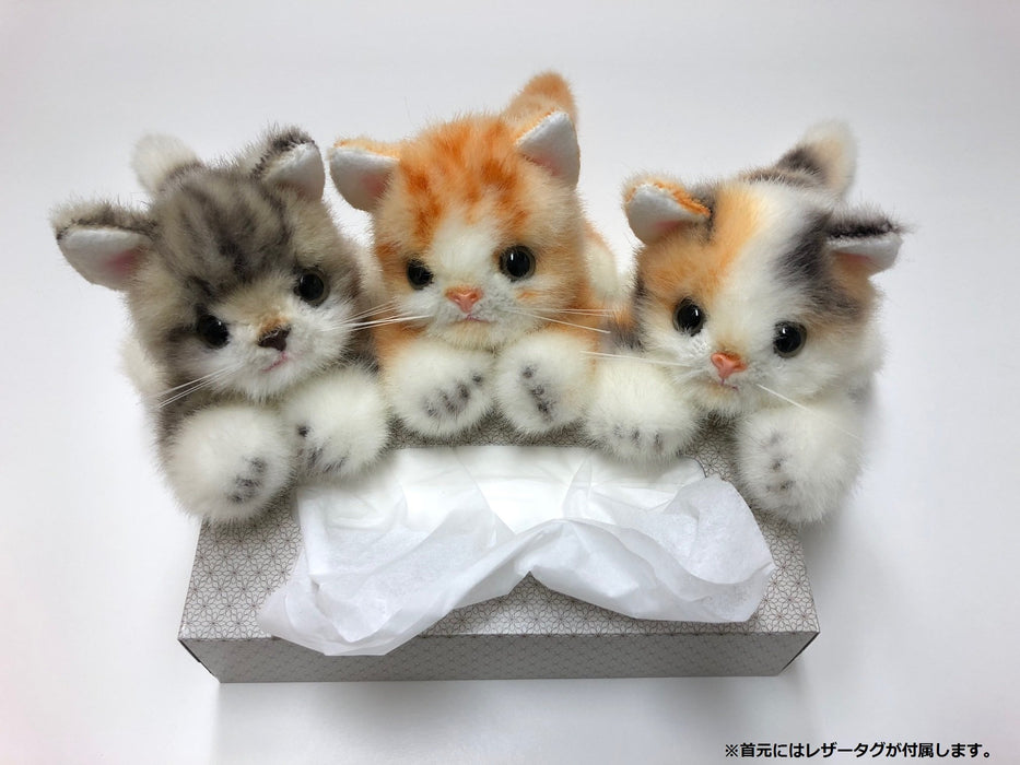 Peluche dorée Miiya de Sanei Boeki Graceful Kitten 9 cm Fabriquée au Japon