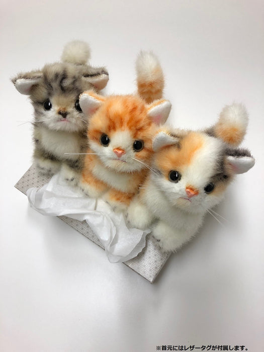 Peluche dorée Miiya de Sanei Boeki Graceful Kitten 15 cm fabriquée au Japon