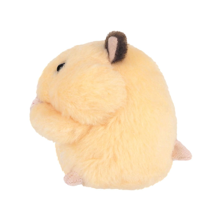 Sanei Boeki Mogomogo Hamusta Kinkuma-San W6×D7×H7.5Cm Peluche