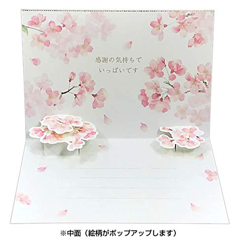 Sanrio Watercolor Cherry Blossom Thank You Card - Graduation/Admission Greeting