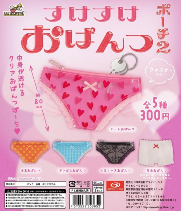 Bright Link See Through Panty Pouch 2-Pack Breathable Travel Organizer