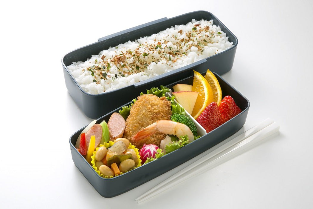 Skater Large 900ml 2-Tier Bento Lunch Box for Men Mizuno Design - Made in Japan