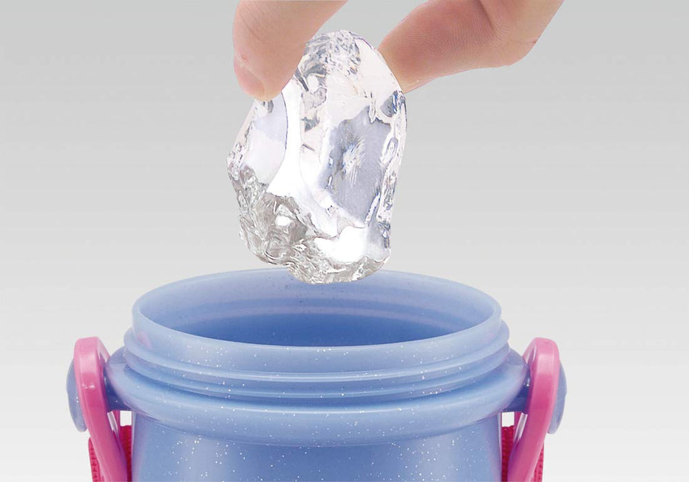 Skater Disney Frozen 2 480ml Kids Plastic Water Bottle