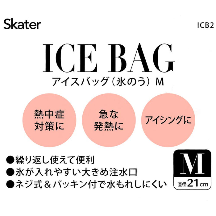 Skater Medium Ice Bag with Chip & Dale Disney Design 21cm Diameter