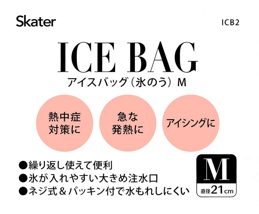 Skater Medium Hello Kitty Ice Bag 21cm Diameter - ICB2 SKU