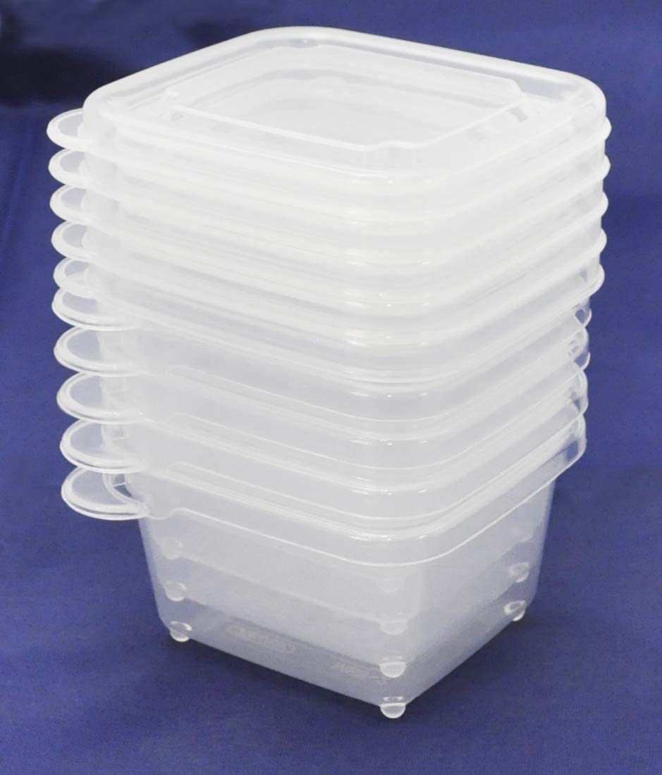Skater Basic 60ml Sealable Mini Storage Containers Set of 5 - MMS2N-A- Japan Figure Store - #1 Bring To You The Best Japanese Goods